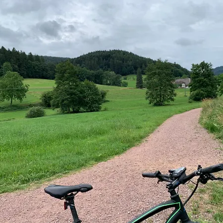 Casa Blanca Am Herzzentrum Apartmán Lahr (Baden-Wurttemberg)