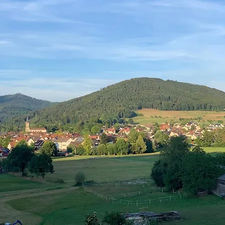 Casa Blanca Am Herzzentrum Apartmán Lahr (Baden-Wurttemberg)