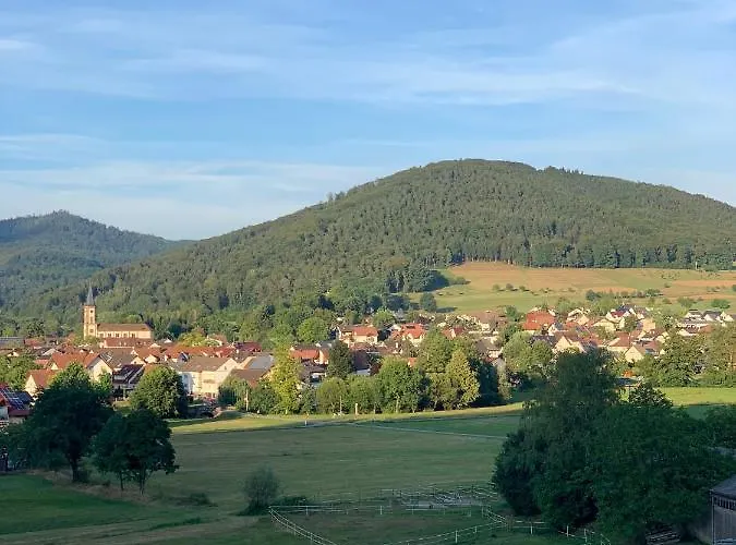 Casa Blanca Am Herzzentrum Appartamento Lahr (Baden-Wurttemberg)